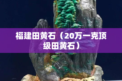 福建田黃石（20萬一克頂級田黃石）