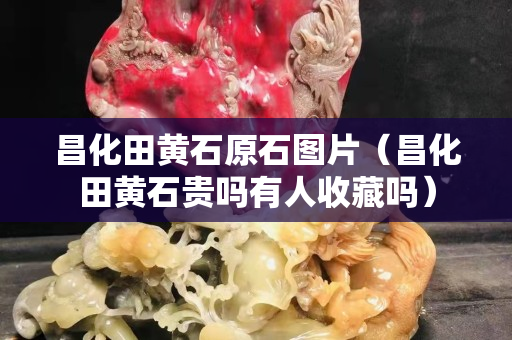 昌化田黃石原石圖片（昌化田黃石貴嗎有人收藏嗎）