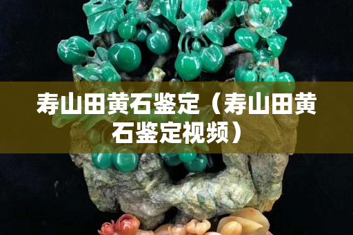 壽山田黃石鑒定（壽山田黃石鑒定視頻）