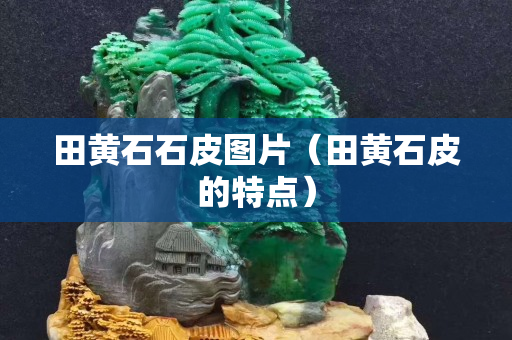 田黃石石皮圖片（田黃石皮的特點）