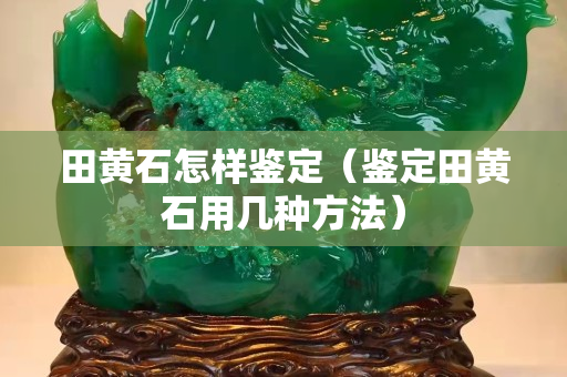 田黃石怎樣鑒定（鑒定田黃石用幾種方法）