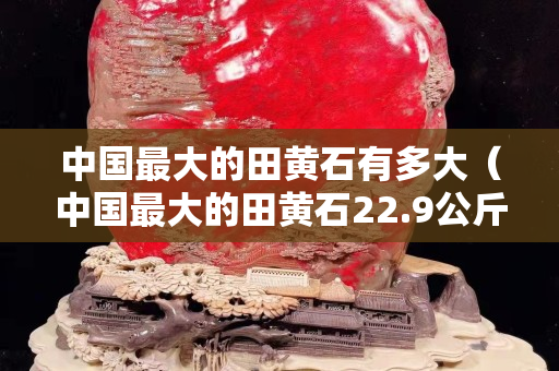 中國最大的田黃石有多大（中國最大的田黃石22.9公斤）
