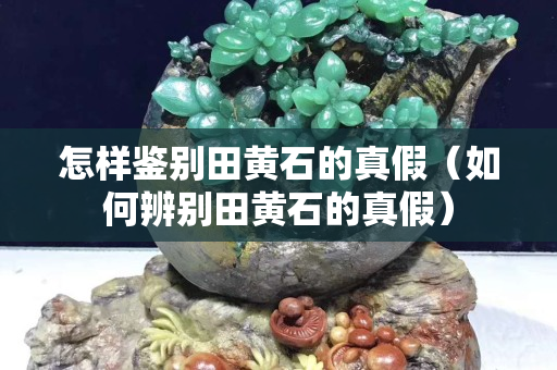 怎樣鑒別田黃石的真假（如何辨別田黃石的真假）