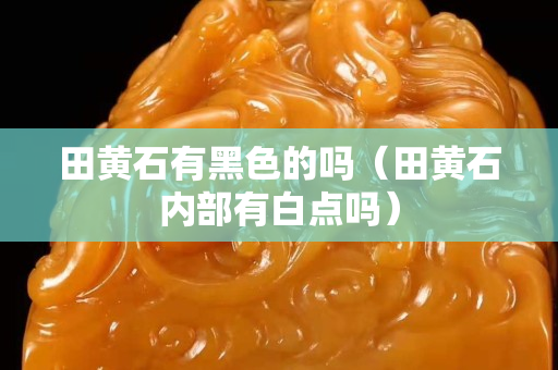田黃石有黑色的嗎（田黃石內部有白點嗎）