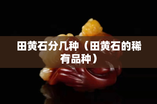 田黃石分幾種（田黃石的稀有品種）