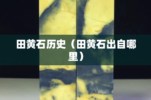 田黃石歷史（田黃石出自哪里）