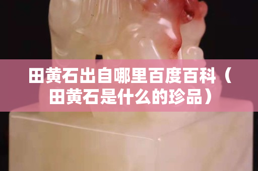 田黃石出自哪里百度百科（田黃石是什么的珍品）