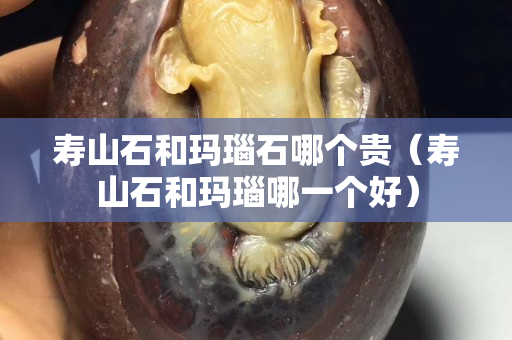 壽山石和瑪瑙石哪個貴（壽山石和瑪瑙哪一個好）