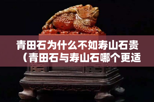青田石為什么不如壽山石貴（青田石與壽山石哪個(gè)更適合刻印章）
