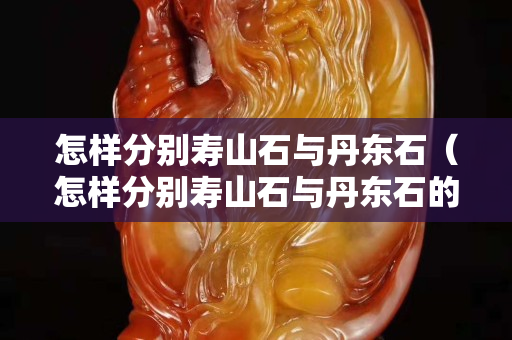 怎樣分別壽山石與丹東石（怎樣分別壽山石與丹東石的區別）
