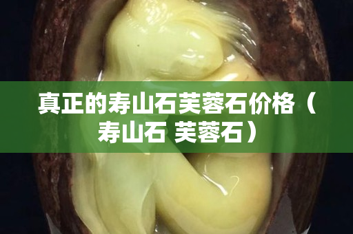 真正的壽山石芙蓉石價格（壽山石 芙蓉石）