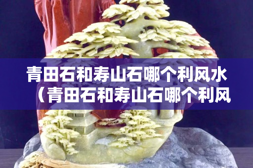 青田石和壽山石哪個利風(fēng)水（青田石和壽山石哪個利風(fēng)水好）