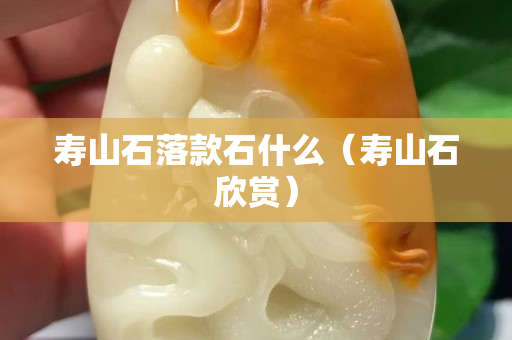 壽山石落款石什么（壽山石欣賞）