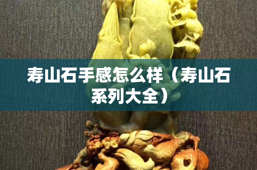 壽山石手感怎么樣（壽山石系列大全）