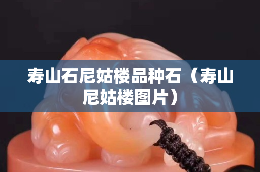 壽山石尼姑樓品種石（壽山尼姑樓圖片）