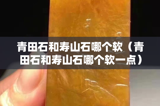 青田石和壽山石哪個(gè)軟（青田石和壽山石哪個(gè)軟一點(diǎn)）
