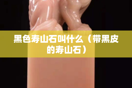 黑色壽山石叫什么（帶黑皮的壽山石）