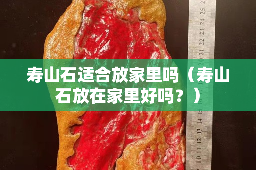 壽山石適合放家里嗎（壽山石放在家里好嗎？）