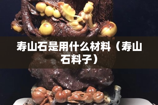 壽山石是用什么材料（壽山石料子）