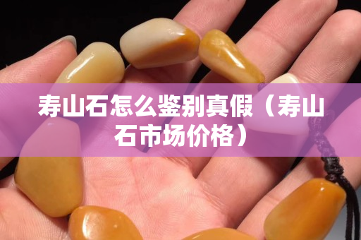 壽山石怎么鑒別真假（壽山石市場價格）