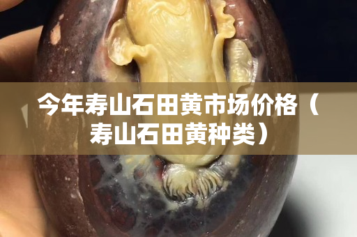 今年壽山石田黃市場(chǎng)價(jià)格（壽山石田黃種類）