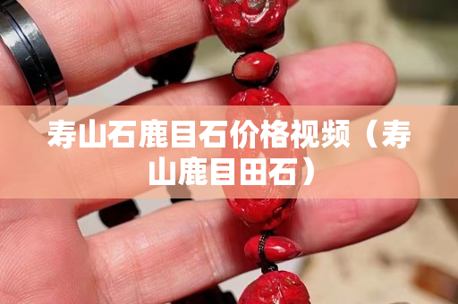 壽山石鹿目石價格視頻（壽山鹿目田石）