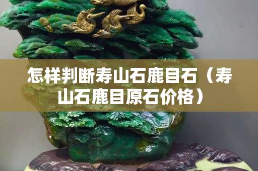 怎樣判斷壽山石鹿目石（壽山石鹿目原石價(jià)格）