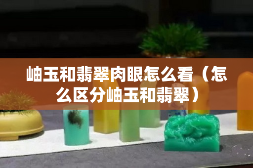岫玉和翡翠肉眼怎么看（怎么區分岫玉和翡翠）