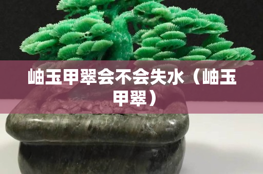 岫玉甲翠會不會失水（岫玉 甲翠）