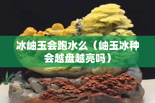 冰岫玉會跑水么（岫玉冰種會越盤越亮嗎）