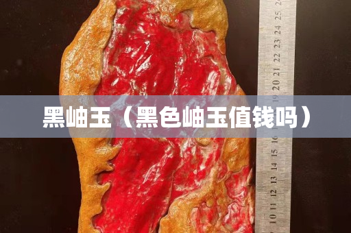黑岫玉（黑色岫玉值錢嗎）
