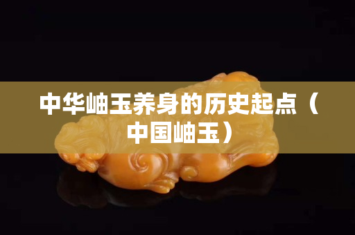中華岫玉養(yǎng)身的歷史起點（中國岫玉）