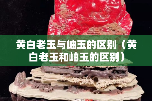 黃白老玉與岫玉的區別（黃白老玉和岫玉的區別）