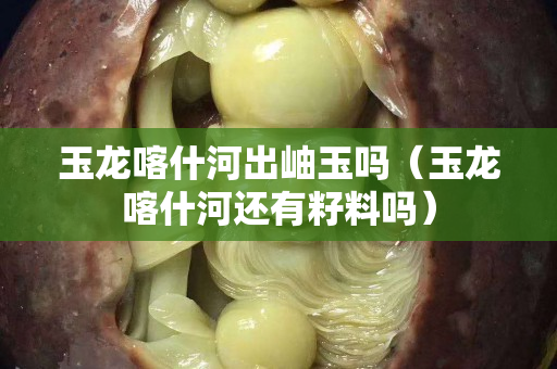 玉龍喀什河出岫玉嗎（玉龍喀什河還有籽料嗎）