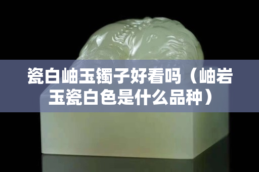 瓷白岫玉鐲子好看嗎（岫巖玉瓷白色是什么品種）