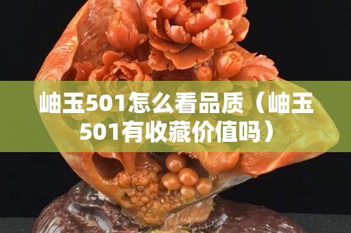岫玉501怎么看品質(zhì)（岫玉501有收藏價值嗎）