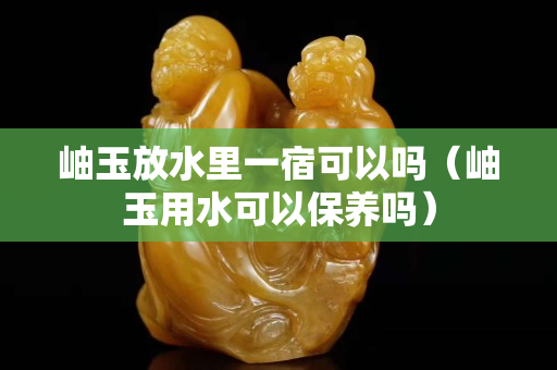 岫玉放水里一宿可以嗎（岫玉用水可以保養嗎）