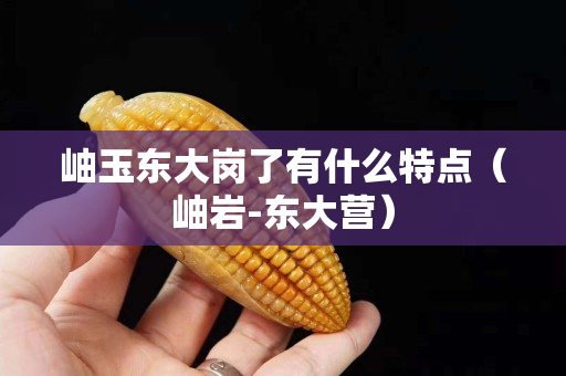 岫玉東大崗了有什么特點（岫巖-東大營）