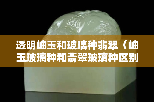 透明岫玉和玻璃種翡翠（岫玉玻璃種和翡翠玻璃種區(qū)別）