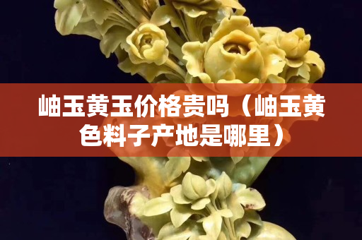 岫玉黃玉價格貴嗎（岫玉黃色料子產地是哪里）