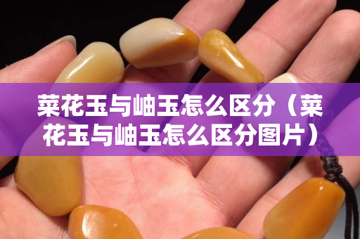 菜花玉與岫玉怎么區分（菜花玉與岫玉怎么區分圖片）