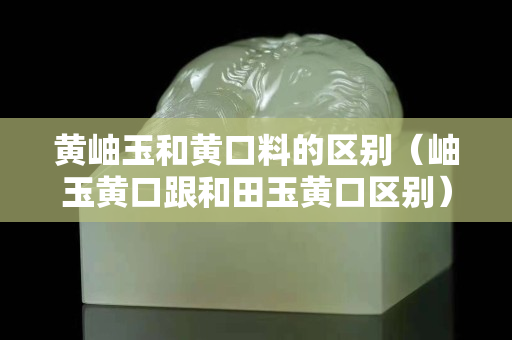 黃岫玉和黃口料的區(qū)別（岫玉黃口跟和田玉黃口區(qū)別）