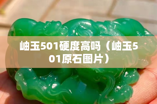 岫玉501硬度高嗎（岫玉501原石圖片）