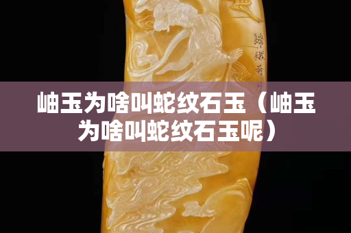 岫玉為啥叫蛇紋石玉（岫玉為啥叫蛇紋石玉呢）