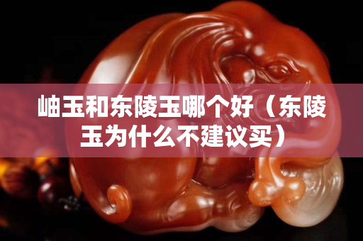 岫玉和東陵玉哪個好（東陵玉為什么不建議買）