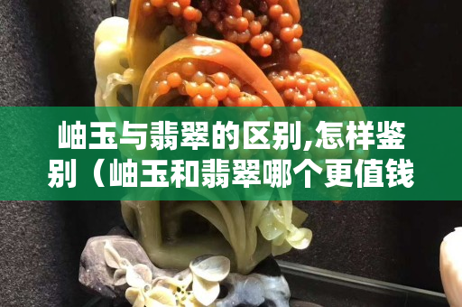 岫玉與翡翠的區別,怎樣鑒別（岫玉和翡翠哪個更值錢）