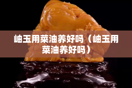 岫玉用菜油養好嗎（岫玉用菜油養好嗎）