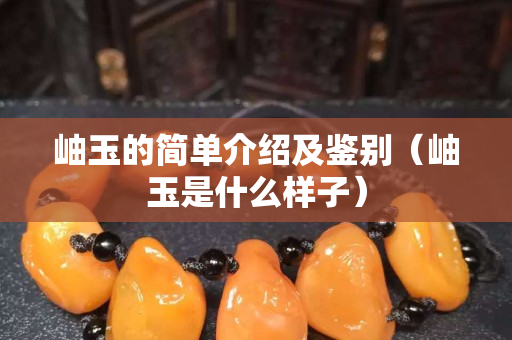 岫玉的簡單介紹及鑒別（岫玉是什么樣子）