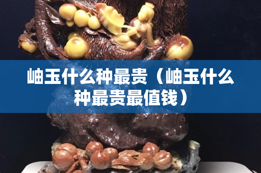岫玉什么種最貴（岫玉什么種最貴最值錢）