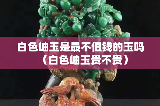 白色岫玉是最不值錢的玉嗎（白色岫玉貴不貴）